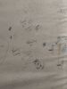 IMG_20190713_170201.thumb.jpg.7ac8e50bea9a948358738e68418c432a.jpg