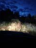 IMG_20190714_025811_HHT.thumb.jpg.64c3823b6d955263c2d92445ce775ad4.jpg