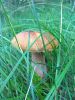 IMG_20190714_153201.thumb.jpg.2c709d177b1e828f0302823ab383233e.jpg