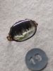 IMG_20190715_152752.thumb.jpg.f06a325fcc56ce80bc793b746b64e391.jpg