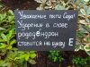 IMG_20190720_152516.thumb.jpg.596af5efe23f3e89a752ee9f467278cc.jpg