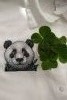 IMG_20190722_1207222.jpg