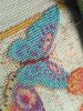 IMG_20190726_193014.thumb.jpg.6b2197fc91679f65a88a13afde8666fc.jpg
