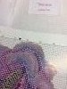 IMG_5942.thumb.JPG.df2680a1de57f491e01b1f47c22bbcd7.JPG?1562748707684