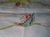 IMG_6372.thumb.JPG.6cbd89aaeca8106ecbb7e30123b940f3.JPG