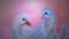 WP_20160131_22_57_44_Pro.jpg