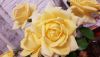 Wk__K7U6qvk.thumb.jpg.3b24916d81290581d8f96f2bb2062906.jpg