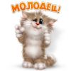 eca210880aa6ed6a73b3266e3b1dfdf6.thumb.jpg.a88ee37860a884b153044adbbd5d65f8.jpg