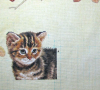 image.thumb.png.e602afce7f0ac230dc80ce86548ef085.png