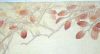 image.thumb.png.f0f005e62aa0a8e66618f5a28f7c16c8.png