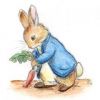 peter-rabbit1.thumb.jpg.acd6c58c988a1f81262bf57c361fa141.thumb.jpg.fa74b7a36d38c1c8dd164e454e898e7c.jpg