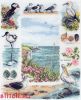 Anchor PCE875, Coastal Birds