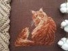 20190210_094939.jpg