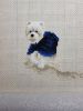 20190510_004359.thumb.jpg.674322178dee131880cb36fdbf54d6a2.jpg