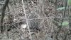 20190809_163223.thumb.jpg.ded19abaea4df0fe63c33bf5613eb47b.jpg