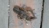 20190817_111452.thumb.jpg.70eff60341c689661beaedbddcb4af2f.jpg