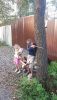 20190821_184734.thumb.jpg.95083289d5247b9a041d0dc656a61a8e.jpg