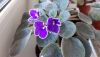 20190824_182901.thumb.jpg.f8f99b59bac68b523445460a7c95043e.jpg