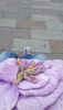 20190825_132232.thumb.jpg.1f49b341d25f24edb448b30a1171f117.jpg