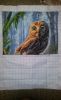 20190825_233145.thumb.jpg.453d1dba65279b9daa67f7cbbc27b1c5.jpg
