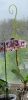 20190830_094623.thumb.jpg.dd60b130d732dbad168a6c75b97eaad0.jpg