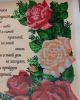 20190831_004957.thumb.jpg.5e13cb1ce7c98a48e6f2f9291f1aa0fd.jpg