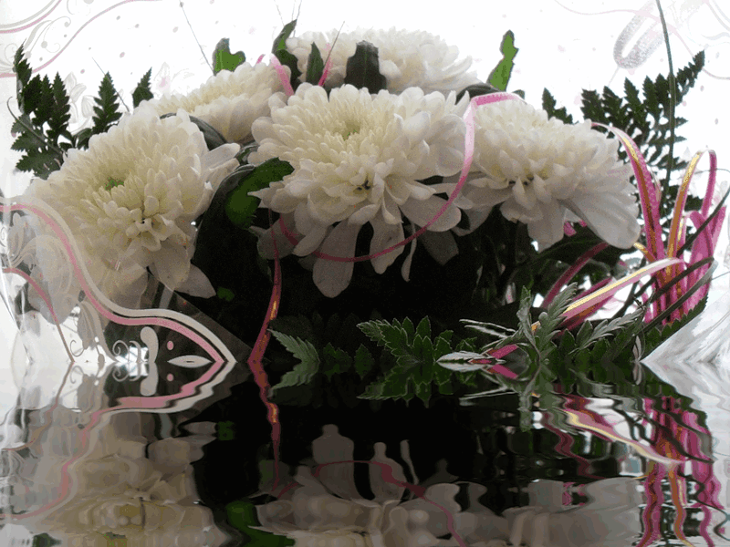 2172030.gif