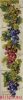 Janlynn 023-0356, Различные сорта винограда (Grapes Bell Pull)