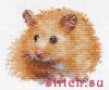 36719.thumb.jpg.631bff0f66c4f371c2a559802043b479.jpg