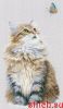 Lanarte PN-0171041, Forest cat
