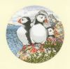 Heritage, Puffin patrol