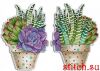 46577.thumb.jpg.265a1759de0de9d2d85e1d3a5038c8b3.jpg