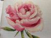 4B77BBC6-7A37-4F58-A4EE-56347FFEB095.thumb.jpeg.387bcd7a15c0b4335871a54fba17b1b5.jpeg