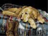 707906faf58931bae32fac9a09dee484--needlework-baskets.thumb.jpg.f3c12733cb19562661922a09c159d31a.jpg