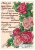 879652788_w640_h640_shema-dlya-vyshivki.thumb.jpg.244319810a14925f203b756631292536.jpg