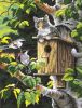 Dimensions 02491, Сидим на доме (Скворечник, House Sitting)