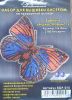 Butterfly16.thumb.jpg.307455215fbb5ec8ed89fbea33d699f7.jpg