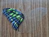 Butterfly9-1.thumb.JPG.b05acca3fa30fbb103c171819a503b82.JPG