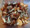 DSC05804.thumb.JPG.f93c23b97a24635a460ac6f7aa189ea6.JPG