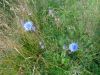 DSC05820.thumb.JPG.2333d2daacaa7ff2e38f97146bda5ebb.JPG