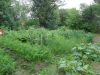 DSC05867.thumb.JPG.729eef1aead8b990cc76b5077d224032.JPG
