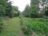 DSC05869.thumb.JPG.c4bf1bba69b6cb9e37374bafc57a4804.JPG