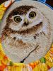 DSC06591.thumb.JPG.92fe9bf887695063f11e7bb7a1592cb7.JPG