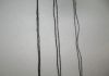 DSC08652.thumb.JPG.2701f15180e570b1fa1a1997a642ca1b.JPG
