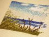 DSCN1292.thumb.JPG.b183d477f6312fbba9c2064ad3d047f7.JPG