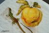 DSC_0045.thumb.JPG.d64394d01329d1d018936ef6b3c60b32.JPG