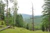DSC_0055.thumb.JPG.338366705181de8e565db2e022a7a370.JPG