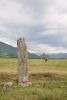 DSC_0183.thumb.JPG.f4f2774abde6797cb3c12d27b1cd1be5.JPG