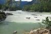 DSC_1654.thumb.JPG.af7e87c0ddda586147dbbb02939c3151.JPG