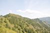 DSC_1722.thumb.JPG.595ef04c087614c6dd50c9ccdc7d23ae.JPG